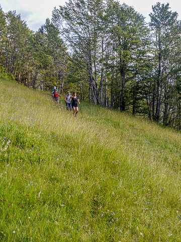 Self-Guided Hike to Mt. Greben from Lëpushë