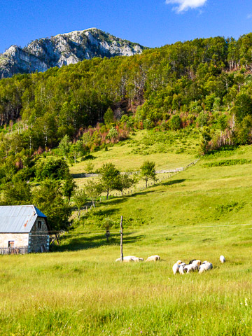 Self-Guided Hike to Mt. Greben from Vermosh