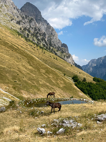 Self-Guided Hike in the surroundings of Valbona