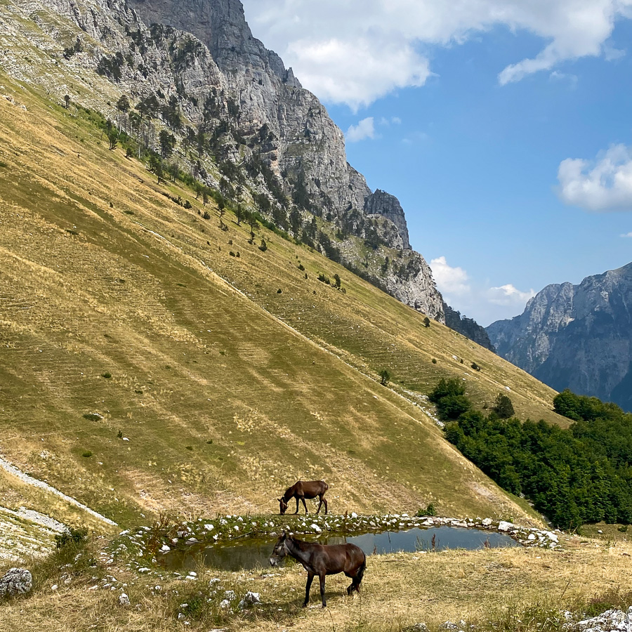 Self-Guided Hike in the surroundings of Valbona