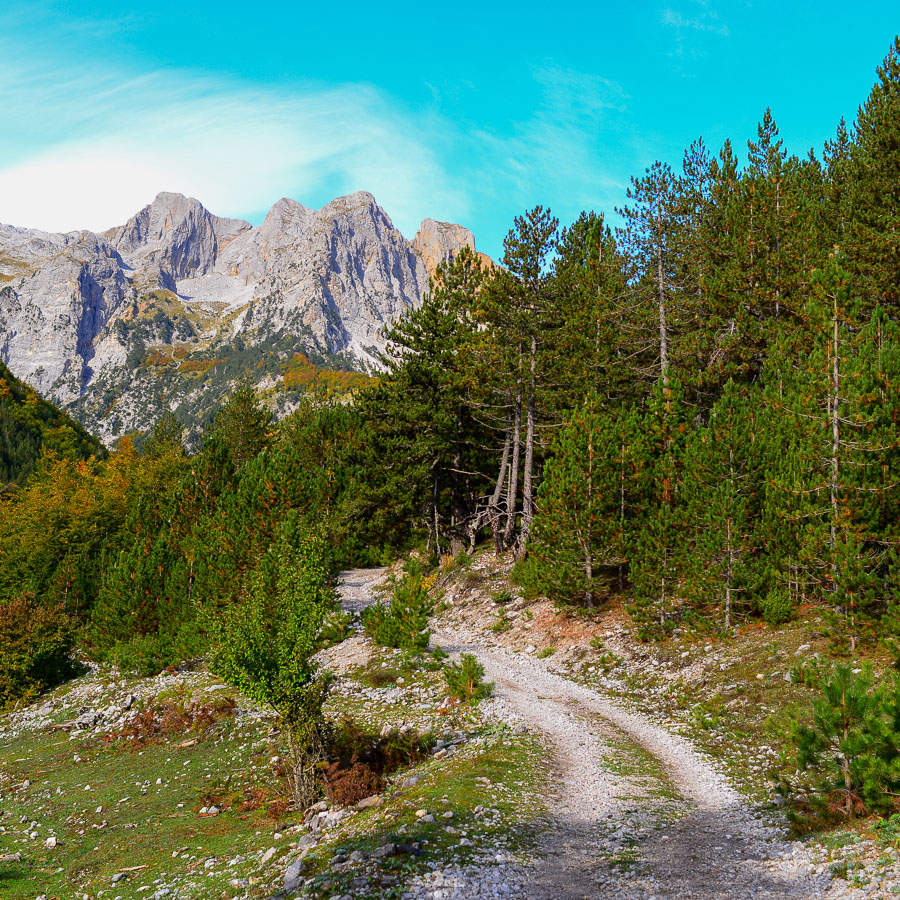 Full-Day Self-Guided Ascent of Rosi Mountain