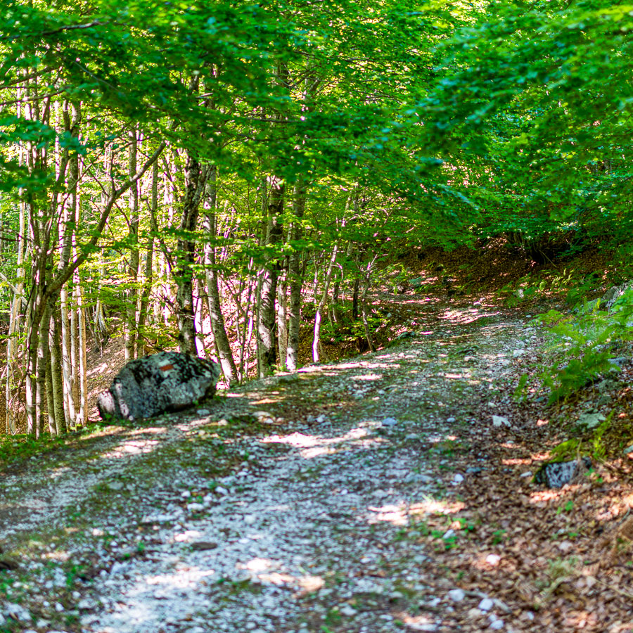 Half-Day Self-Guided Hike in the surroundings of Valbona
