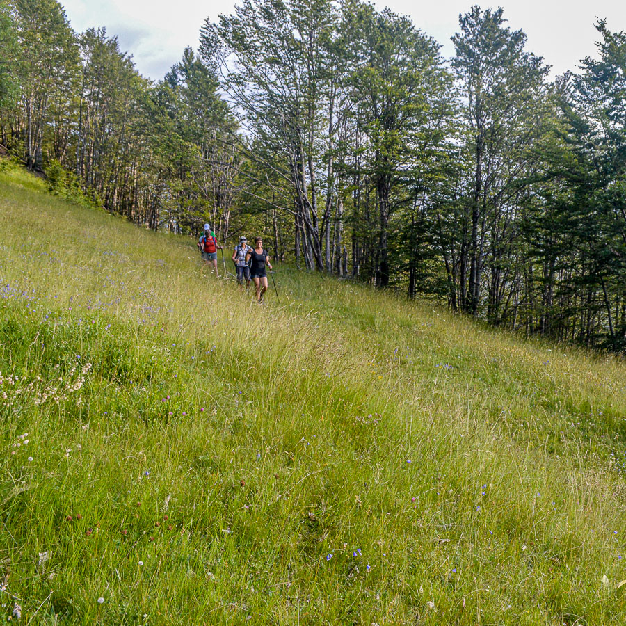 Self-Guided Hike to the Greben Summit from Lëpushë