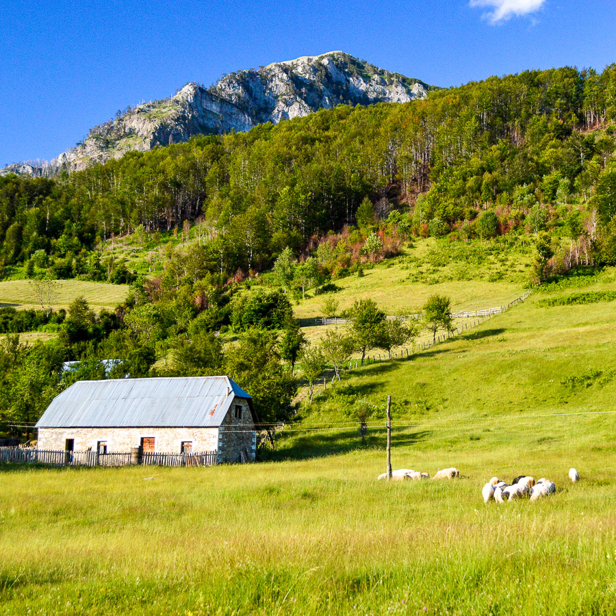 Self-Guided Hike to the Greben Summit from Vermosh