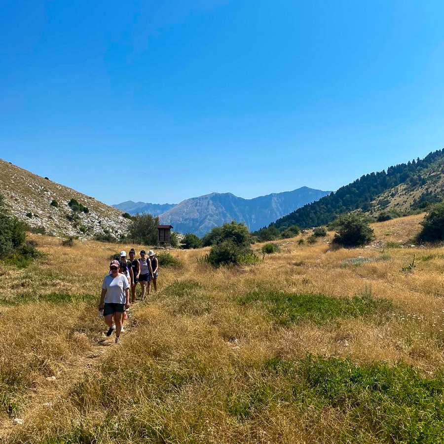Half-Day Self-Guided Hike in the Llogara National Park