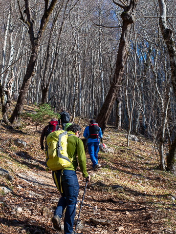 Full-Day Self-Guided hike in Dajti National Park