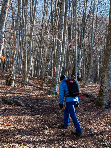Half-Day Private Guided hike in Dajti National Park